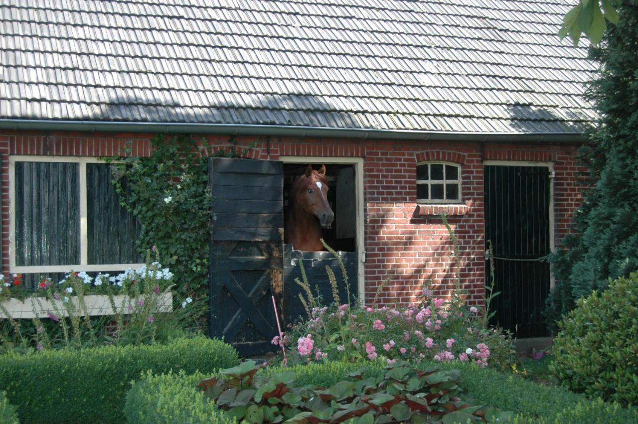 Erve Het Roolvink Boerderij Appartementen 40-50 M2 Enschede Exteriér fotografie