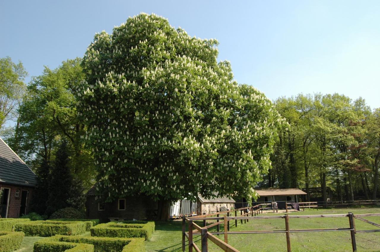 Erve Het Roolvink Boerderij Appartementen 40-50 M2 Enschede Exteriér fotografie