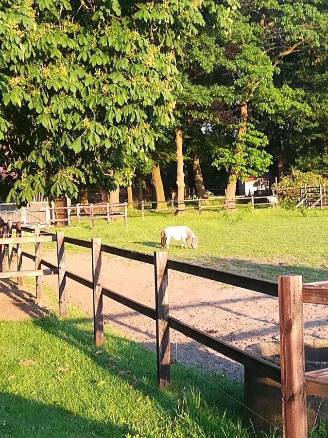Erve Het Roolvink Boerderij Appartementen 40-50 M2 Enschede Exteriér fotografie