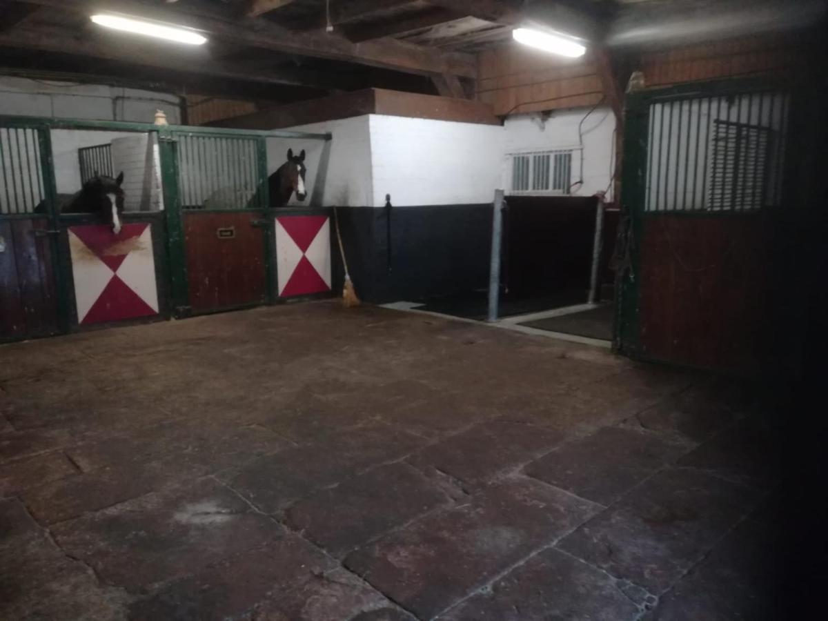 Erve Het Roolvink Boerderij Appartementen 40-50 M2 Enschede Exteriér fotografie